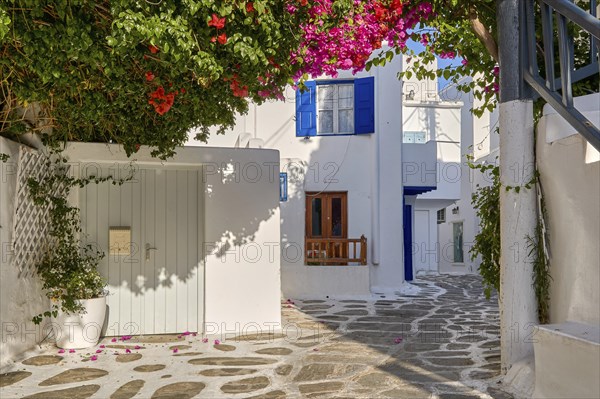 Romantic traditional narrow streets and beautiful walkways of Greek island towns. Whitewashed houses