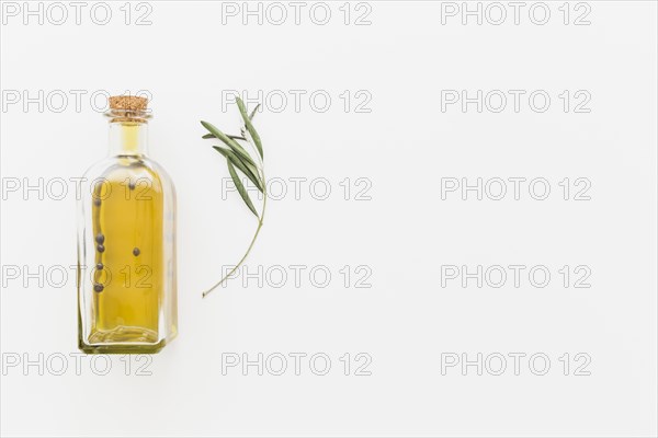 Bottle oil with green branch