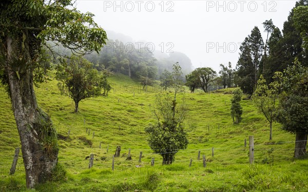 Beautiful costa rican countryside with rich green hills