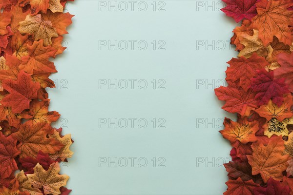 Double sided flat lay autumn leaves