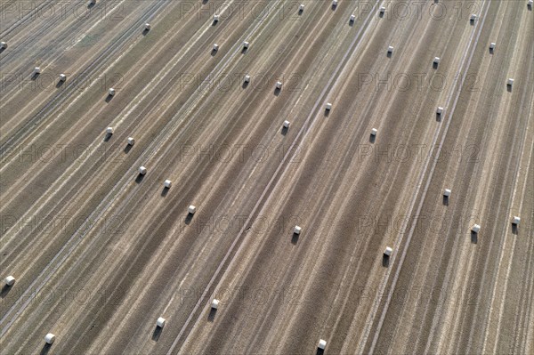 Rolls of straw lying on a harvested field