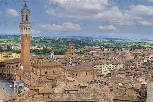 Above the rooftops of Siena with a view of the Torre del Mangia bell tower