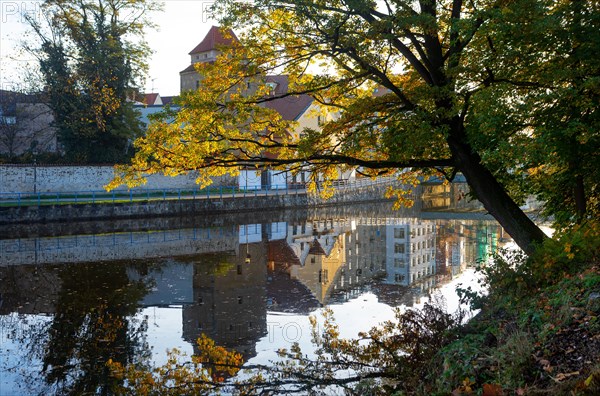 Autumnal coloured trees in the park Hajecek with the river Maltsch and the city wall of the historical old town of Ceske Budejovice