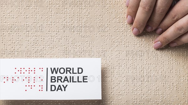 World braille day arrangement view