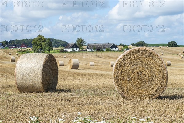 Straw bales on farmland at Skurup