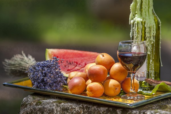 Still Life with Fruit