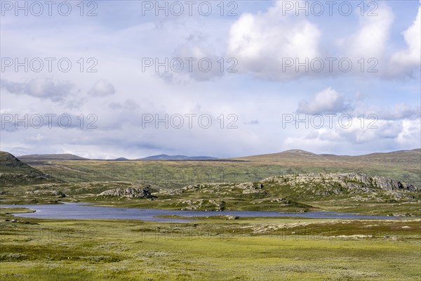 Tundra landscape with lake
