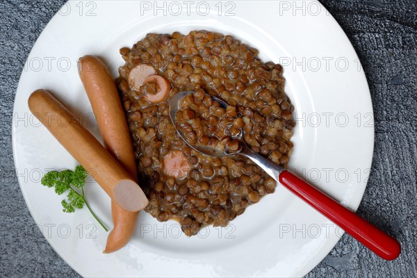 Lentil