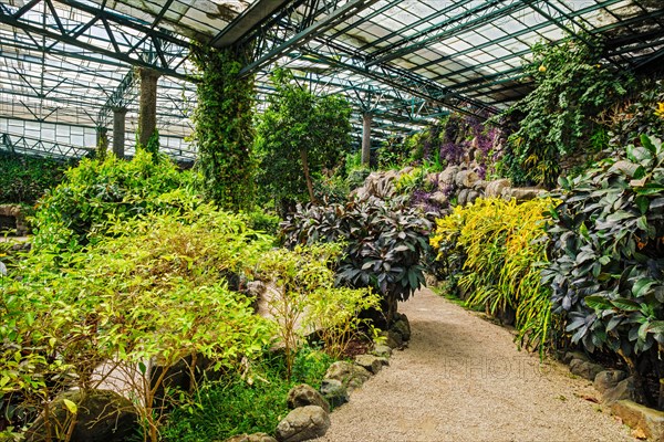 Interior view of the cold house Estufa Fria is a greenhouse with gardens