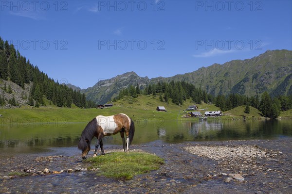 Austria