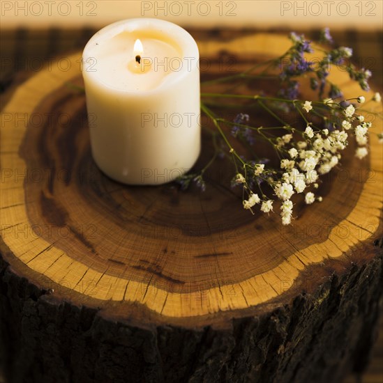 Aroma candles with flowers tree stump