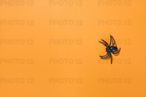 Black decorative spider with long legs