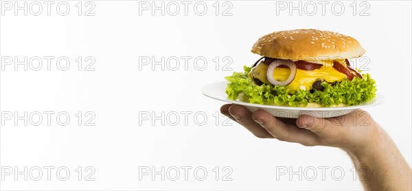 Hand holding burger plate with copy space