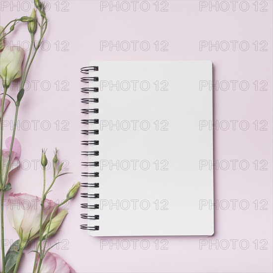 Blank spiral notebook with eustoma flowers against pink backdrop