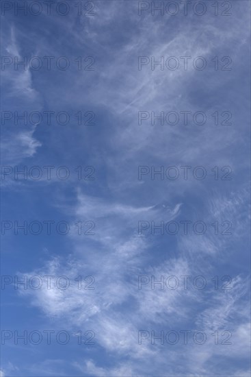 Cirrus clouds