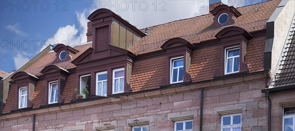 Historic attic