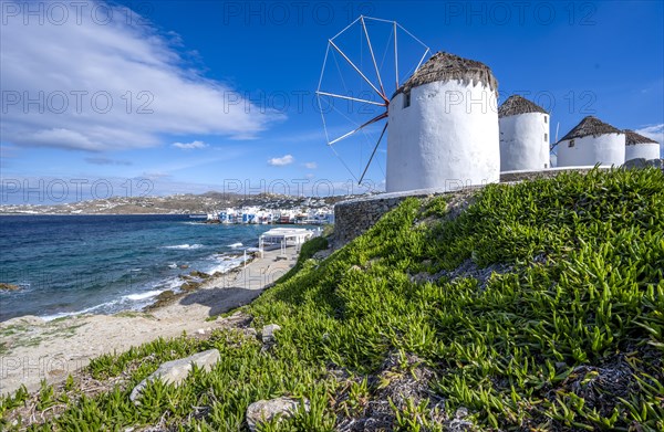 Cycladic windmills on the coast