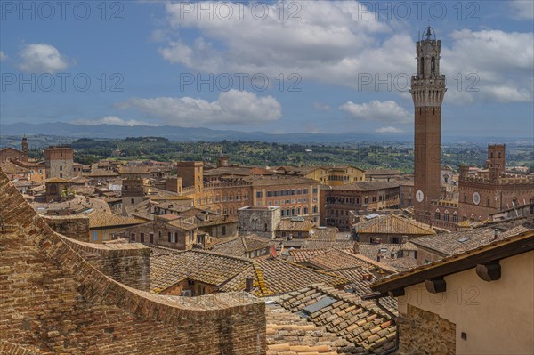 Above the rooftops of Siena with a view of the Torre del Mangia bell tower