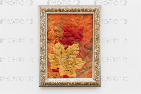 Vintage frame with autumn leave inside