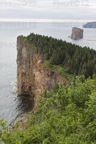 Steep cliff