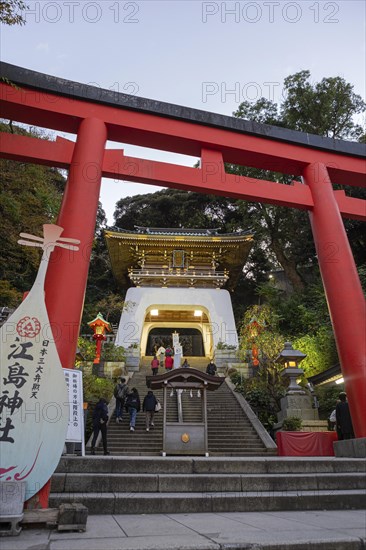 Large Torii