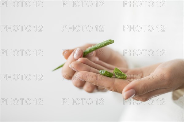 Close up aloe vera