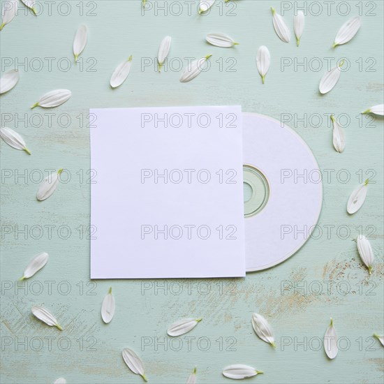 Cd mockup with white petals