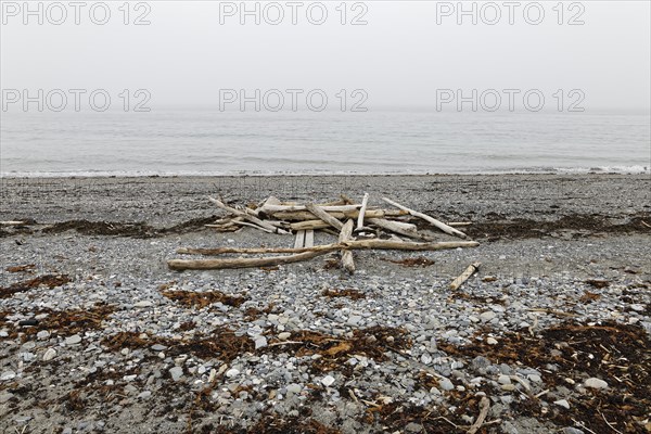 Driftwood on the beach