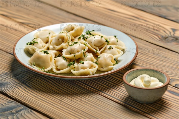 Homemade dumplings with minced beef meat