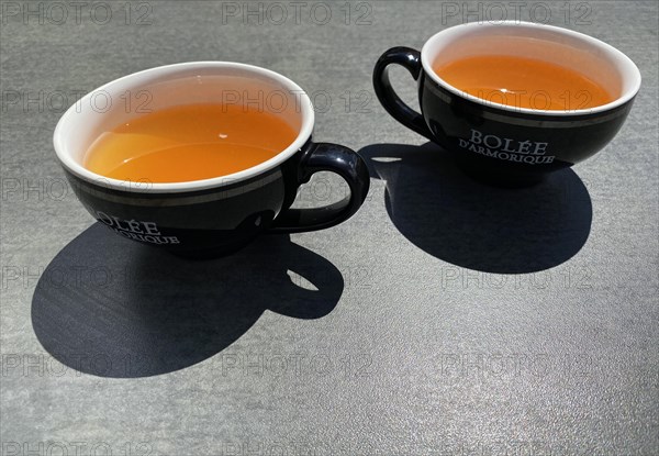 Two cups of Bolee Cidre