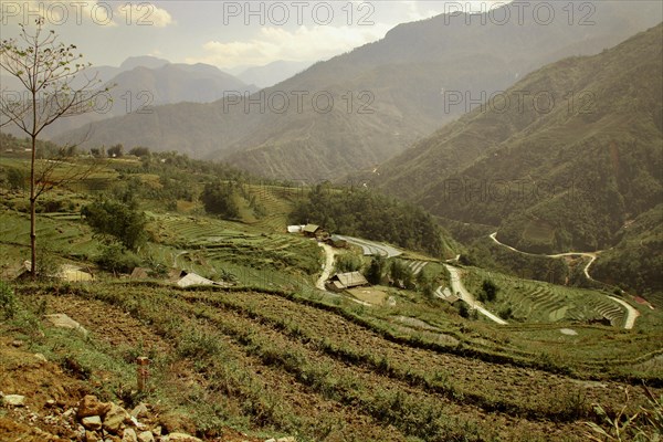 Fog over the terraced rice paddy and mountains in Lao Cai