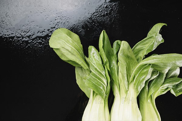 Bok choys wet background