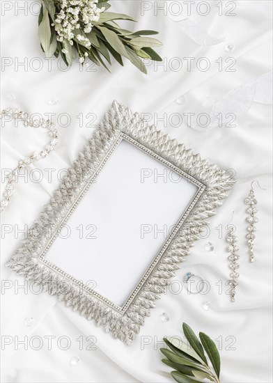 Floral ornaments beside frame