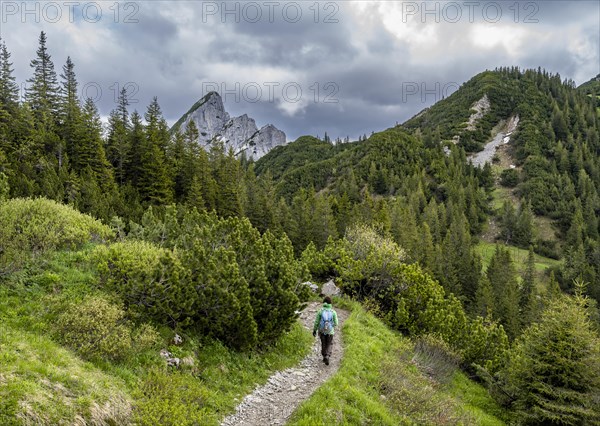 Mountaineer on a hiking trail in the Rotwand area