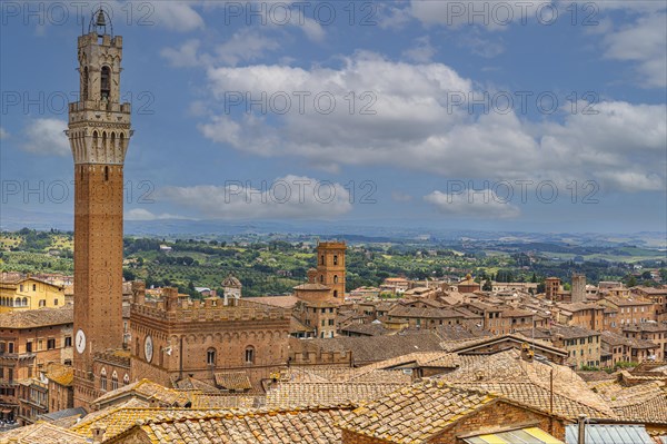 Above the rooftops of Siena with a view of the Torre del Mangia bell tower