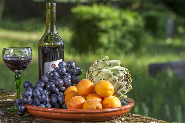 Still Life with with Fruit Bowl and Red Wine