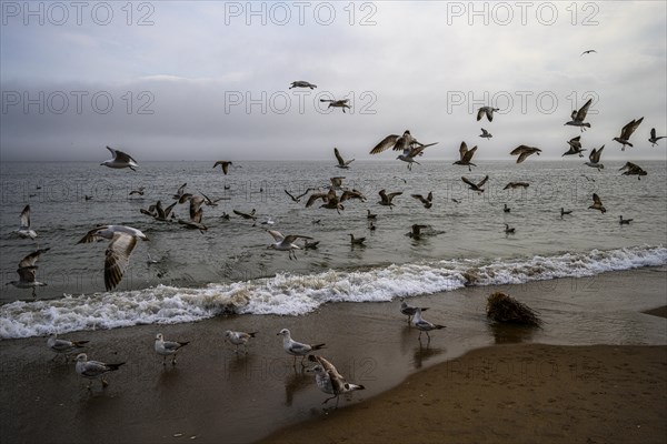 Cludy spring day on Brighton Beach