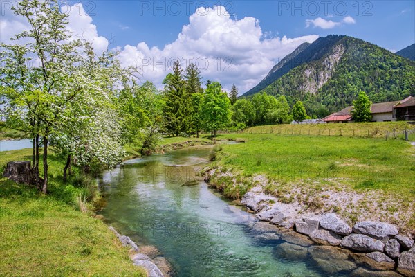 Spring Landscape with Muehlbach