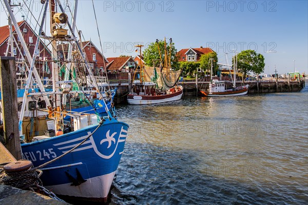 Historic cutter harbour with crab cutters