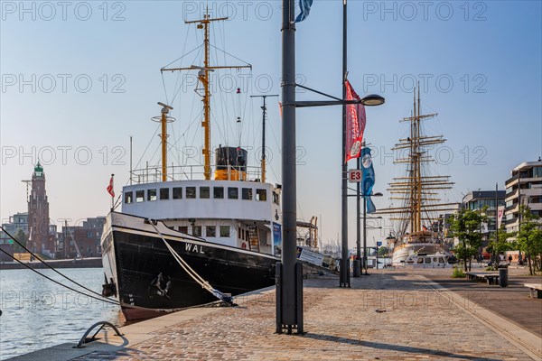 Historic icebreaker Whale and sail training ship Germany in the New Harbour