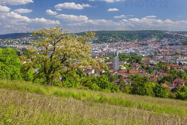 View of Stuttgart