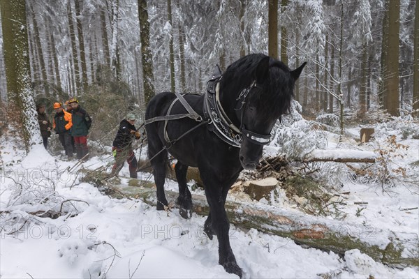 Winter in the Ore Mountains