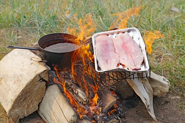 Fish being grilled on an open campfire