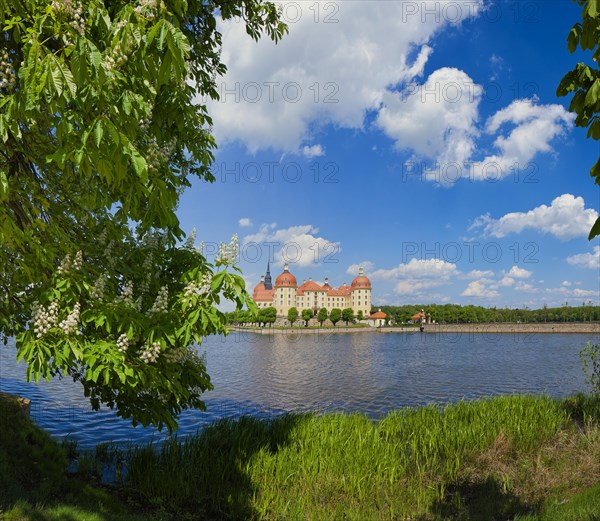 Moritzburg Baroque Palace