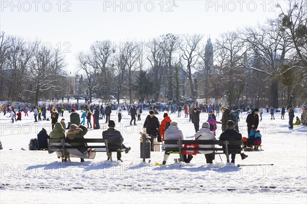 Large garden in winter