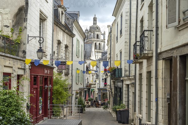 Alley in the old town and Tour Saint-Antoine in Loches