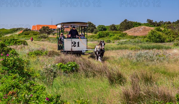 Historic horse-drawn tramway in the dunes