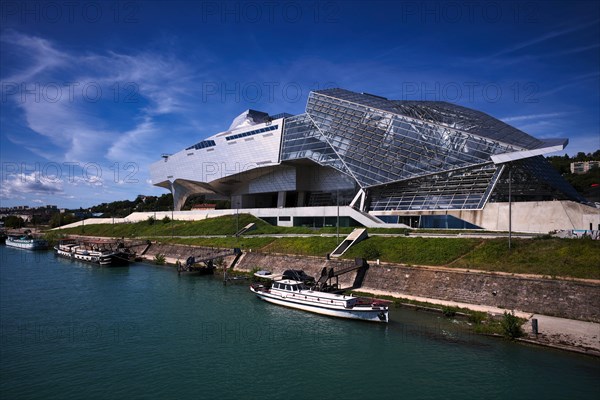 Musee des Confluences Museum