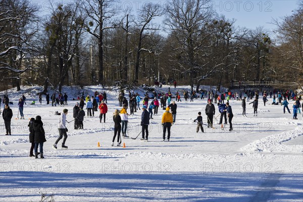 Large garden in winter