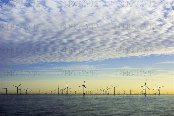 Wind turbines of the Thorntonbank Wind Farm